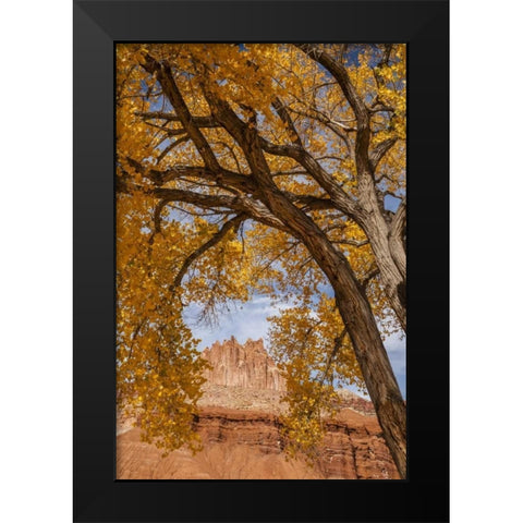 UT, Capitol Reef The Castle rock formation Black Modern Wood Framed Art Print by Illg, Cathy and Gordon