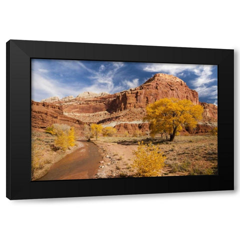 Utah, Capitol Reef Creek and autumn landscape Black Modern Wood Framed Art Print with Double Matting by Illg, Cathy and Gordon