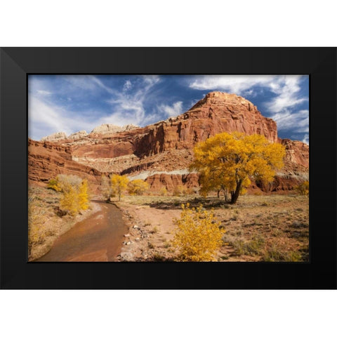 Utah, Capitol Reef Creek and autumn landscape Black Modern Wood Framed Art Print by Illg, Cathy and Gordon