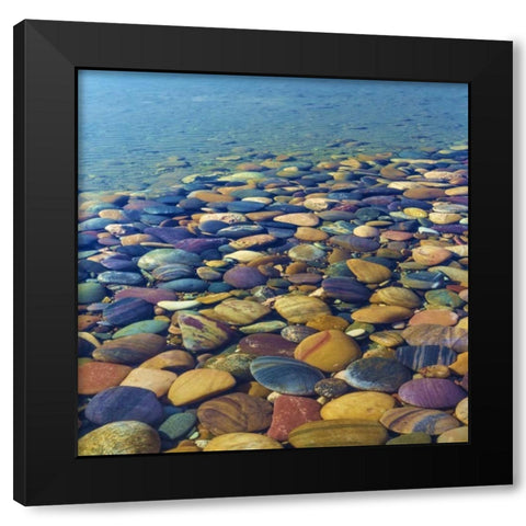 USA, Utah Colorful rocks in Lake Powell Black Modern Wood Framed Art Print by Paulson, Don