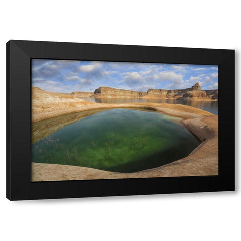 Utah, Glen Canyon Pool of water at Lake Powell Black Modern Wood Framed Art Print with Double Matting by Paulson, Don