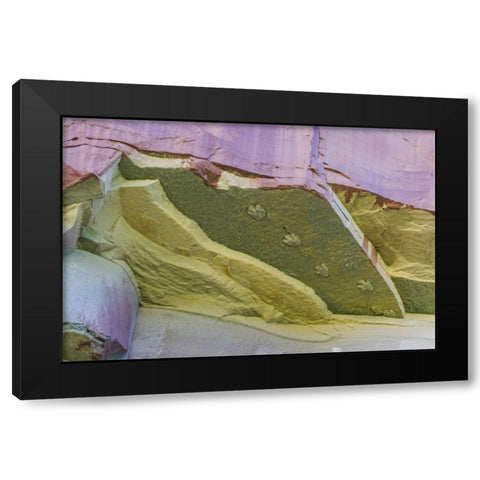 Utah, Glen Canyon Dinosaur tracks on rock face Black Modern Wood Framed Art Print with Double Matting by Paulson, Don