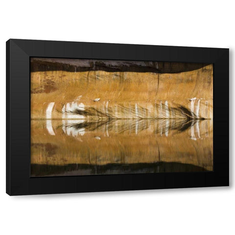 Utah, Glen Canyon Abstract reflection sandstone Black Modern Wood Framed Art Print by Paulson, Don