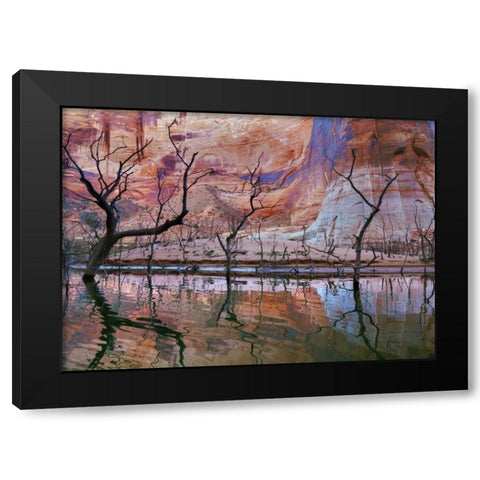 UT, Glen Canyon Drought reveals dead trees Black Modern Wood Framed Art Print with Double Matting by Paulson, Don