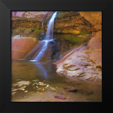 USA, Utah, Zion NP Small waterfall forms pool Black Modern Wood Framed Art Print by Paulson, Don