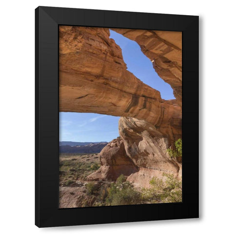 Utah, Glen Canyon NRA Close-up of Jacks Arch Black Modern Wood Framed Art Print by Paulson, Don
