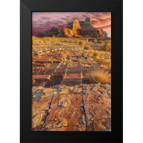 Utah, Glen Canyon Sunset on sandstone formations Black Modern Wood Framed Art Print by Paulson, Don