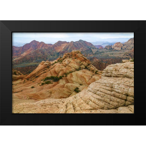 Utah Landscape in Dixie National Forest Black Modern Wood Framed Art Print by Paulson, Don