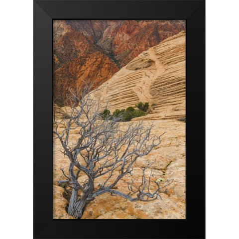 Utah Landscape in Dixie National Forest Black Modern Wood Framed Art Print by Paulson, Don