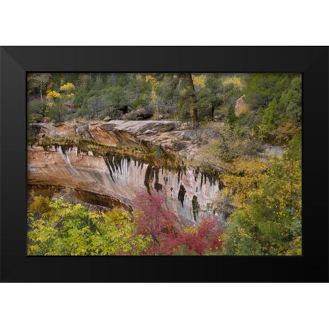 USA, Utah, Zion NP Emerald Pool Trail scenic Black Modern Wood Framed Art Print by Bush, Marie