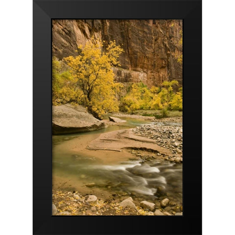 USA, Utah, Zion NP Virgin River autumn scenic Black Modern Wood Framed Art Print by Bush, Marie