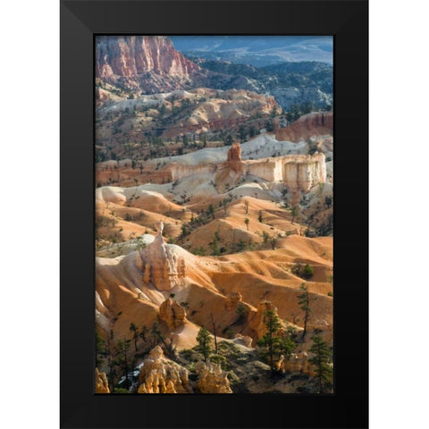 USA, Utah Hoodoo formations in Bryce Canyon NP Black Modern Wood Framed Art Print by Rotenberg, Nancy
