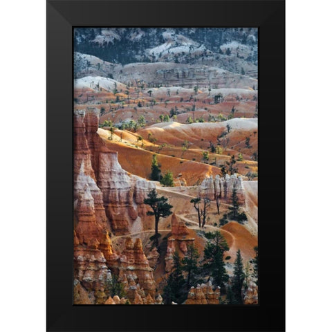 USA, Utah Hoodoo formations in Bryce Canyon NP Black Modern Wood Framed Art Print by Rotenberg, Nancy
