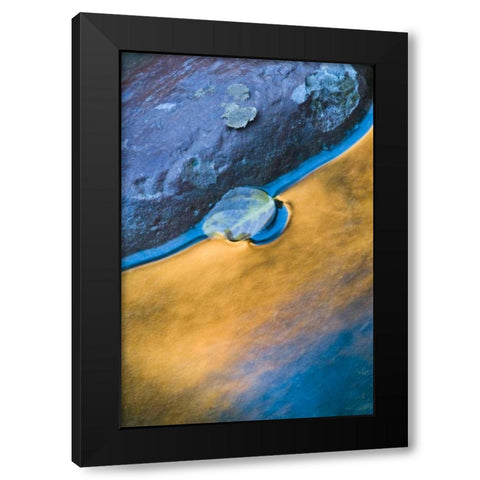 Utah, Zion NP Fall reflections in Pine Creek Black Modern Wood Framed Art Print with Double Matting by Rotenberg, Nancy