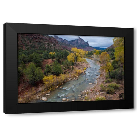 Utah, Zion NP Virgin River and cottonwood trees Black Modern Wood Framed Art Print with Double Matting by Rotenberg, Nancy
