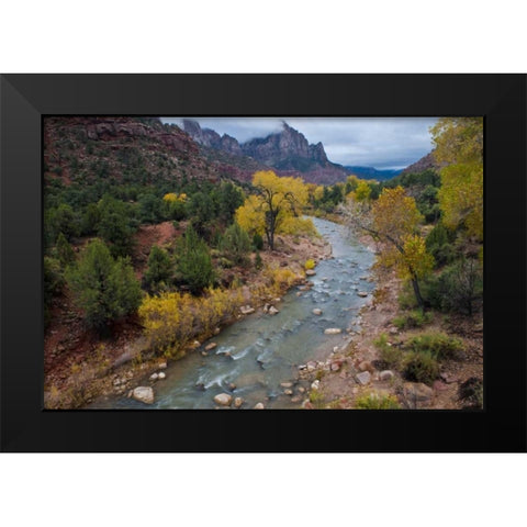 Utah, Zion NP Virgin River and cottonwood trees Black Modern Wood Framed Art Print by Rotenberg, Nancy
