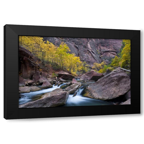 Utah, Zion NP Canyon waterfall with cottonwoods Black Modern Wood Framed Art Print with Double Matting by Rotenberg, Nancy