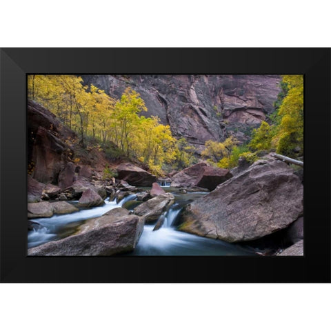 Utah, Zion NP Canyon waterfall with cottonwoods Black Modern Wood Framed Art Print by Rotenberg, Nancy