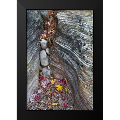 UT, Zion NP Canyon crevice with fallen leaves Black Modern Wood Framed Art Print by Rotenberg, Nancy