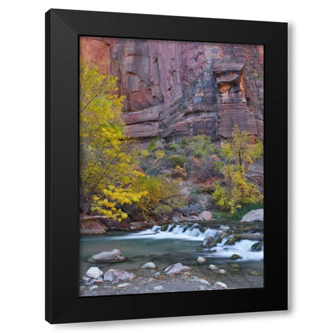 UT, Zion NP The Narrows with cottonwood trees Black Modern Wood Framed Art Print with Double Matting by Rotenberg, Nancy