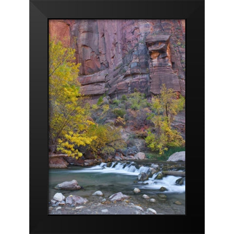 UT, Zion NP The Narrows with cottonwood trees Black Modern Wood Framed Art Print by Rotenberg, Nancy