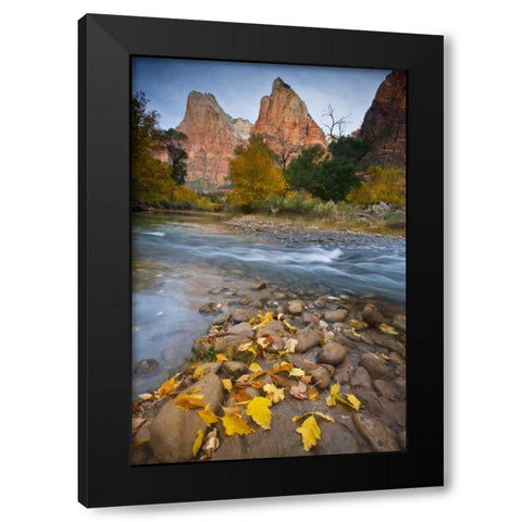 UT, Zion NP The Sentinel and the Virgin River Black Modern Wood Framed Art Print with Double Matting by Rotenberg, Nancy
