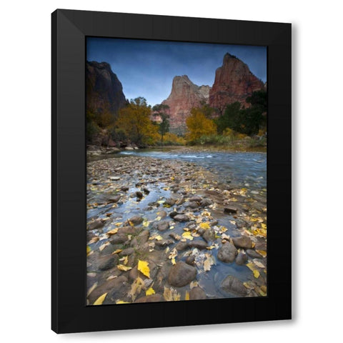 UT, Zion NP The Sentinel and the Virgin River Black Modern Wood Framed Art Print with Double Matting by Rotenberg, Nancy