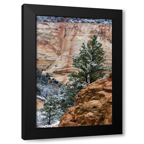 USA, Utah, Zion NP Winter scenic Black Modern Wood Framed Art Print with Double Matting by Rotenberg, Nancy