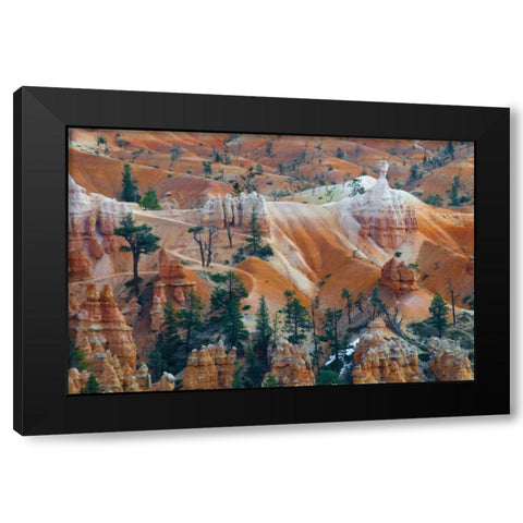 USA, Utah Hoodoo formations in Bryce Canyon NP Black Modern Wood Framed Art Print by Rotenberg, Nancy