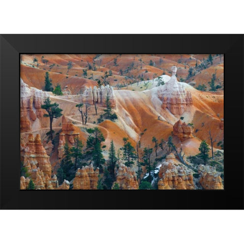 USA, Utah Hoodoo formations in Bryce Canyon NP Black Modern Wood Framed Art Print by Rotenberg, Nancy