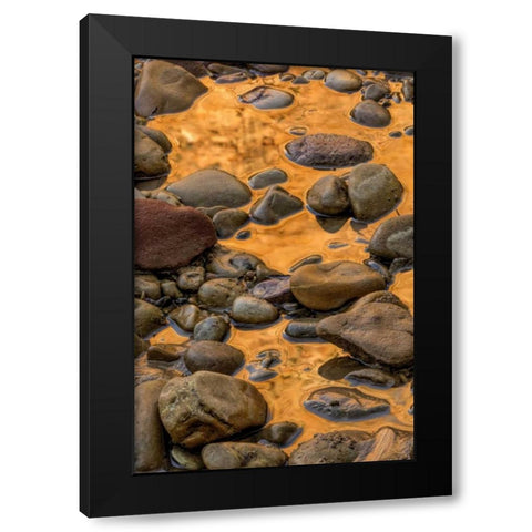 USA, Utah, Zion NP Rocks in water Black Modern Wood Framed Art Print by OBrien, Jay