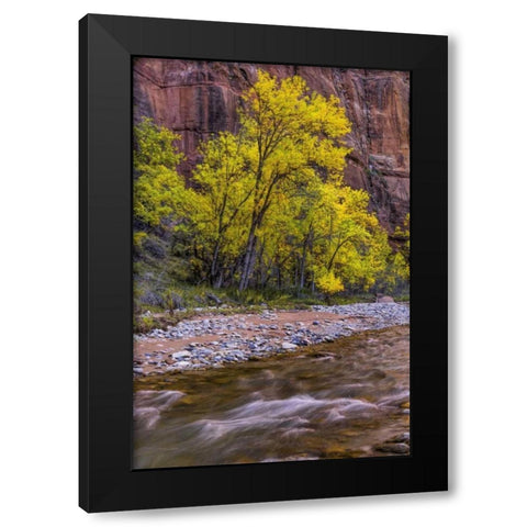 USA, Utah, Zion NP Stream in autumn scenic Black Modern Wood Framed Art Print with Double Matting by OBrien, Jay