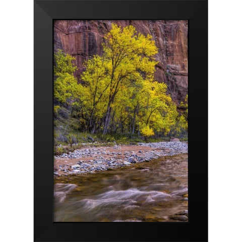 USA, Utah, Zion NP Stream in autumn scenic Black Modern Wood Framed Art Print by OBrien, Jay