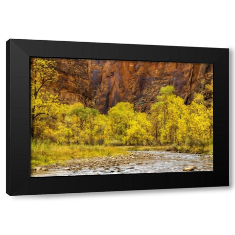 USA, Utah, Zion NP Stream in autumn landscape Black Modern Wood Framed Art Print with Double Matting by OBrien, Jay