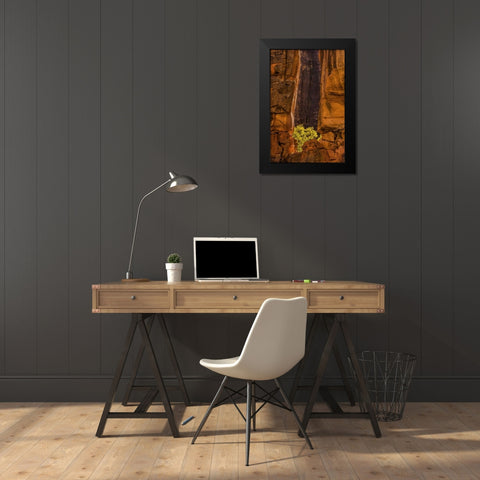USA, Utah, Zion NP Tree and cliff Black Modern Wood Framed Art Print by OBrien, Jay