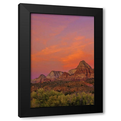 USA, Utah, Zion NP Mountain landscape Black Modern Wood Framed Art Print with Double Matting by OBrien, Jay