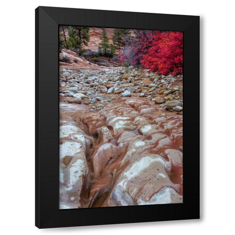 USA, Utah, Zion NP Ground rock pattern Black Modern Wood Framed Art Print by OBrien, Jay