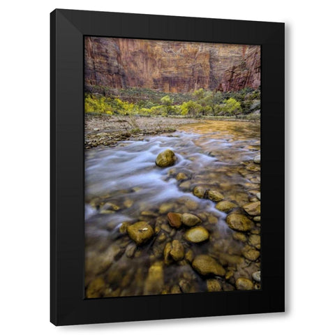 USA, Utah, Zion NP Stream in autumn scenic Black Modern Wood Framed Art Print with Double Matting by OBrien, Jay