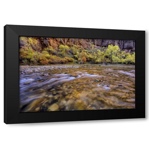 USA, Utah, Zion NP Stream in autumn scenic Black Modern Wood Framed Art Print by OBrien, Jay