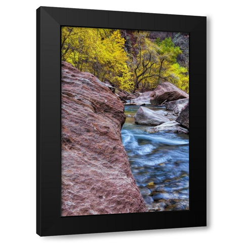 USA, Utah, Zion NP Stream in autumn landscape Black Modern Wood Framed Art Print with Double Matting by OBrien, Jay