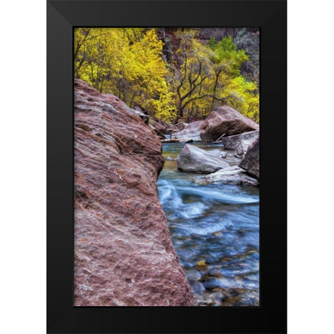 USA, Utah, Zion NP Stream in autumn landscape Black Modern Wood Framed Art Print by OBrien, Jay