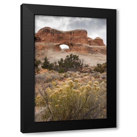 USA, Utah, Arches NP Scenic of Tunnel Arch Black Modern Wood Framed Art Print with Double Matting by Illg, Cathy and Gordon