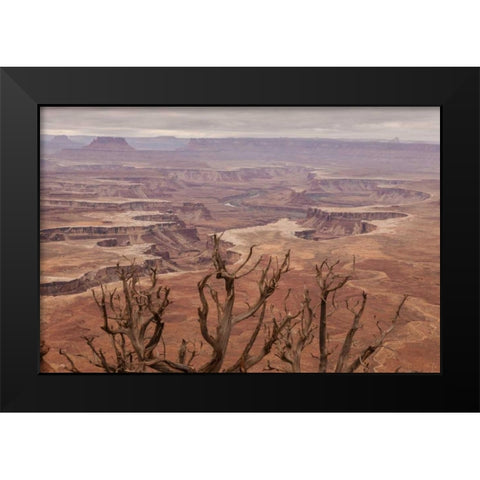 USA, Utah, Canyonlands NP White Rim landscape Black Modern Wood Framed Art Print by Illg, Cathy and Gordon