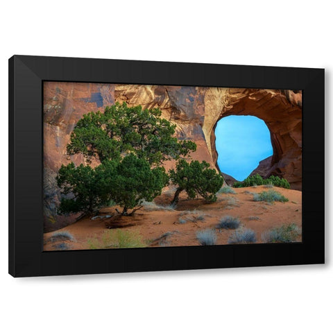 Utah-Monument Valley Landscape with sandstone formations and trees  Black Modern Wood Framed Art Print by Jaynes Gallery