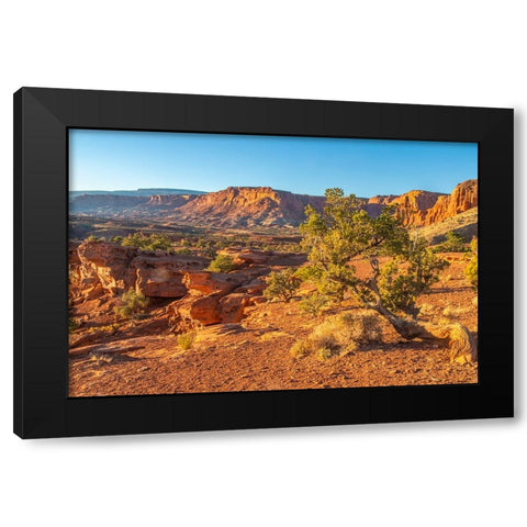 USA- Utah- Capitol Reef National Park. Eroded rock formations and mountains. Black Modern Wood Framed Art Print with Double Matting by Jaynes Gallery