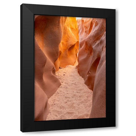 USA- Utah- Grand Staircase Escalante National Monument. Bighorn Canyon trail. Black Modern Wood Framed Art Print by Jaynes Gallery