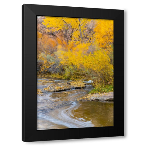 USA- Utah- Calf Creek Recreation Area in autumn. Black Modern Wood Framed Art Print by Jaynes Gallery