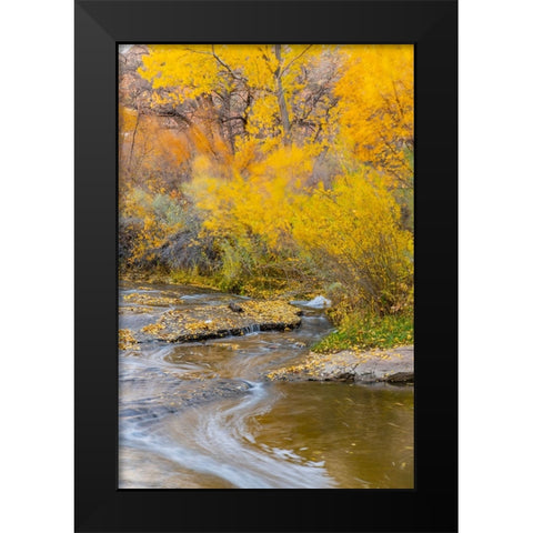 USA- Utah- Calf Creek Recreation Area in autumn. Black Modern Wood Framed Art Print by Jaynes Gallery