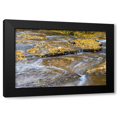 USA- Utah- Calf Creek Recreation Area in autumn. Black Modern Wood Framed Art Print by Jaynes Gallery