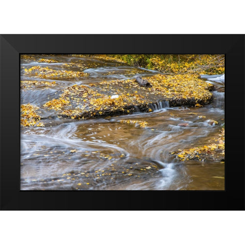 USA- Utah- Calf Creek Recreation Area in autumn. Black Modern Wood Framed Art Print by Jaynes Gallery
